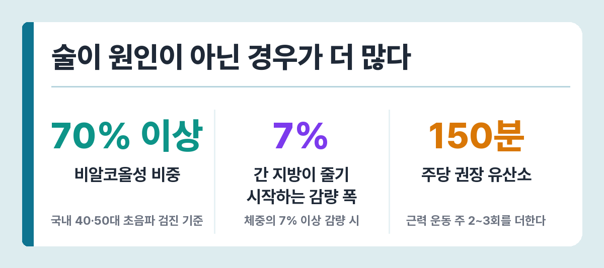 비알코올성 지방간이 차지하는 비중