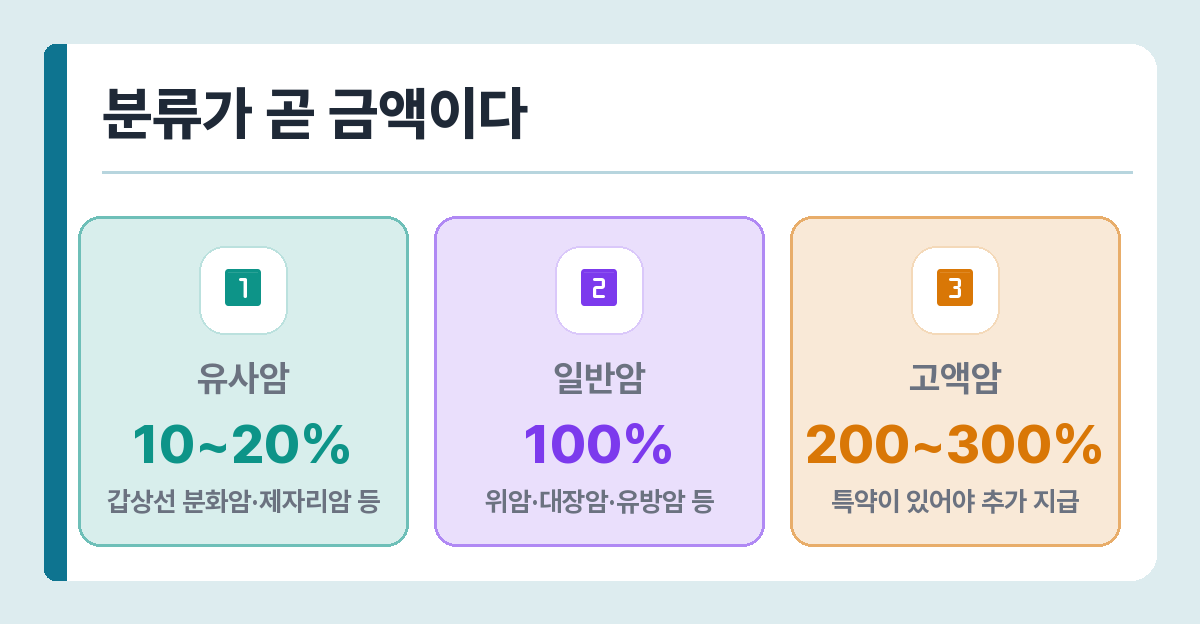 암보험 분류별 진단비 지급 비율 — 유사암 10~20%, 일반암 100%, 고액암 200~300%