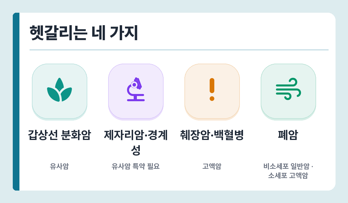 암 종류별 분류 — 갑상선 분화암 유사암, 제자리암 특약, 췌장암·백혈병 고액암, 폐암은 종류별 구분