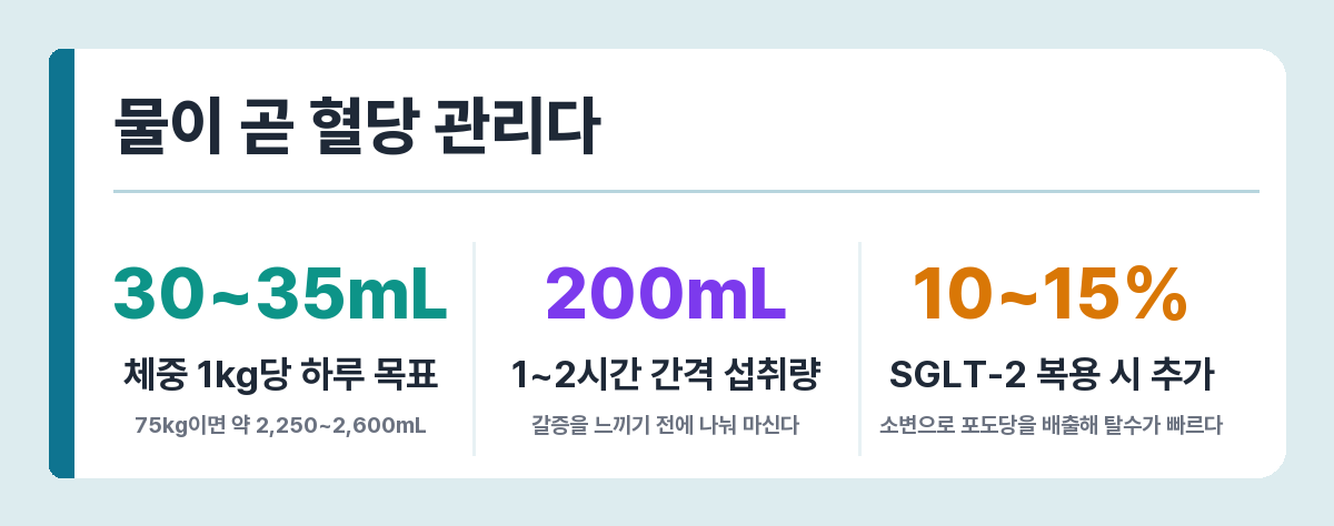 당뇨인 여름 수분 섭취 기준