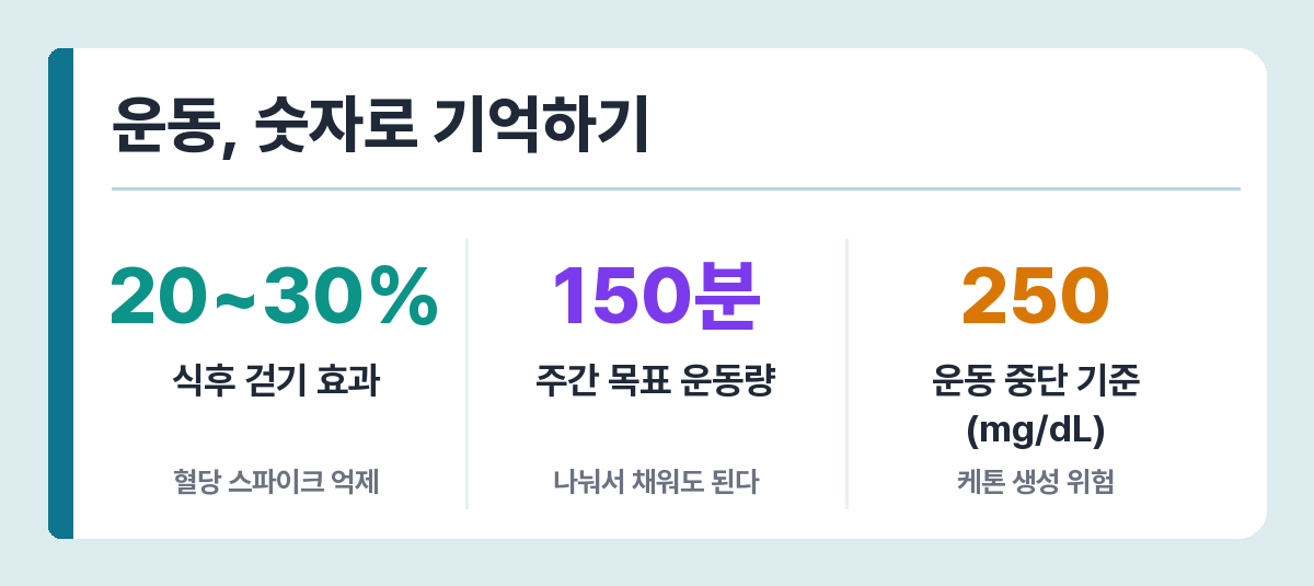 여름 운동 기준 — 식후 걷기로 스파이크 20~30% 억제, 주 150분, 혈당 250 이상이면 중단