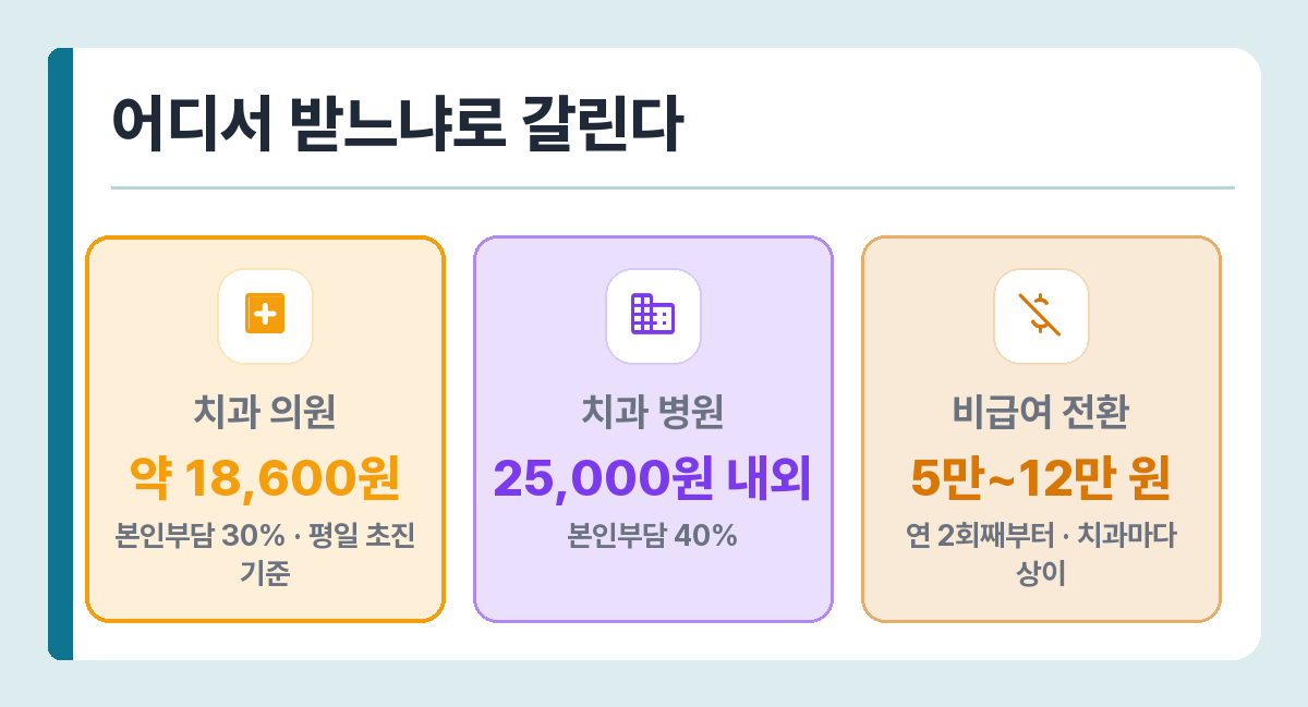 스케일링 의료기관 종별 본인부담금