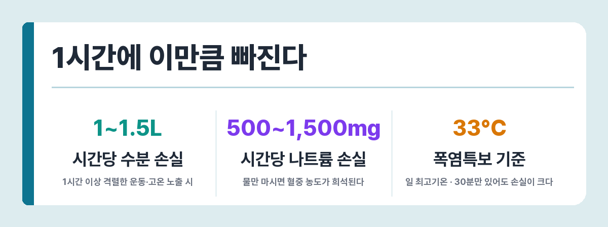 땀으로 빠져나가는 수분과 나트륨