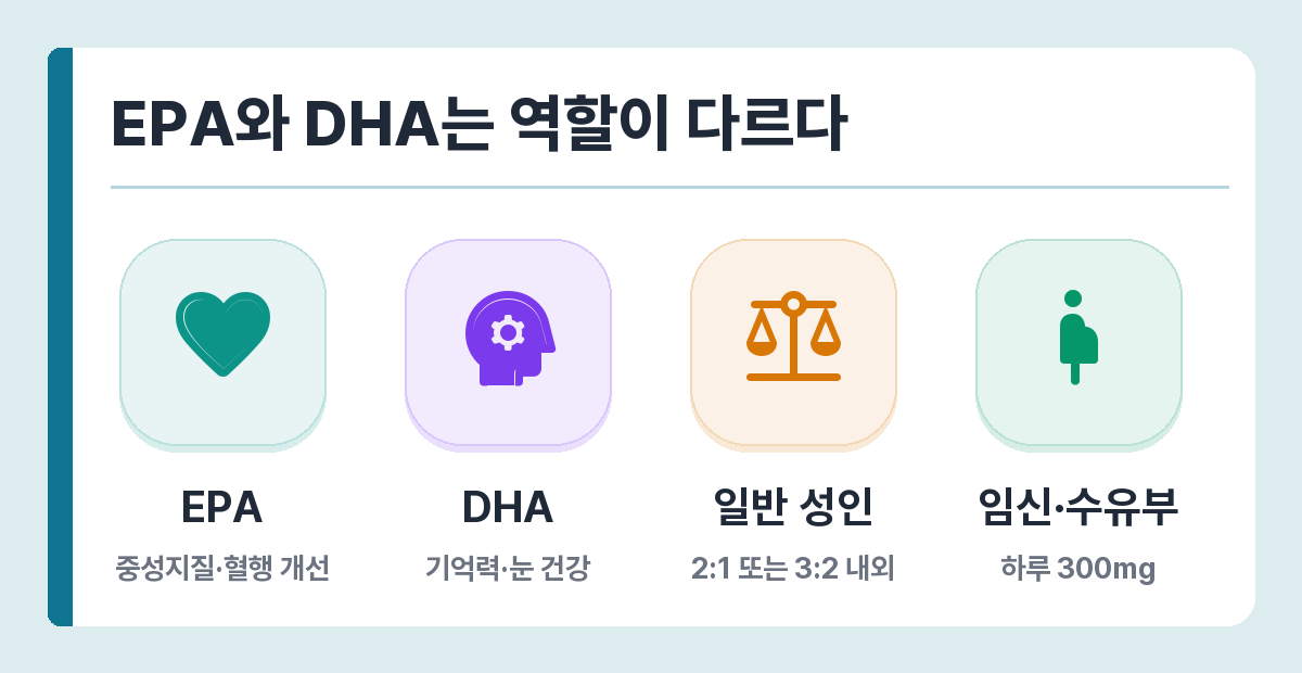 EPA와 DHA 역할 차이 — EPA는 중성지질·혈행, DHA는 기억력·눈 건강