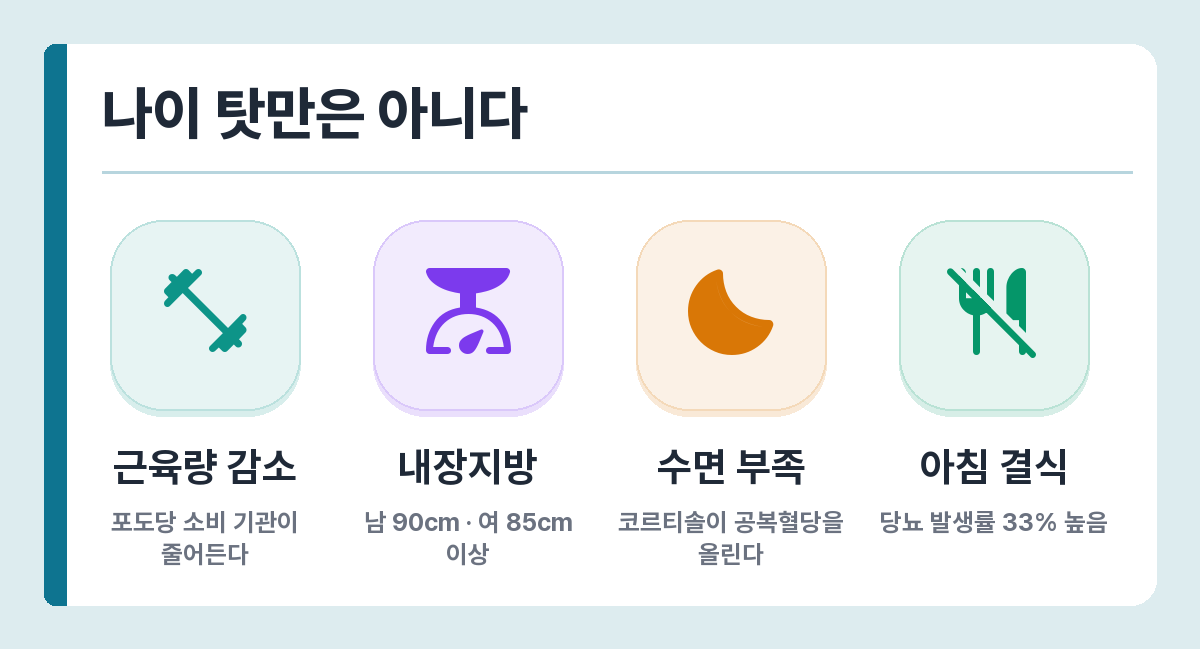 50대 혈당 상승 요인 — 근육량 감소, 인슐린 저항성, 수면 부족, 아침 결식