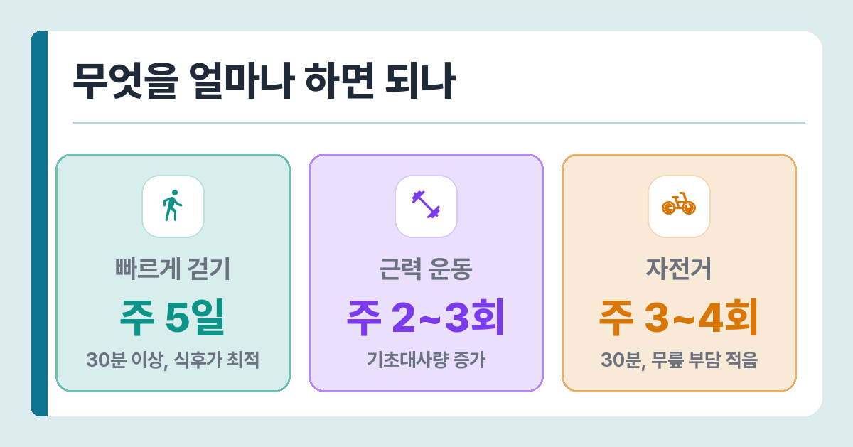 혈당 관리 운동 비교 — 빠르게 걷기 주 5일 30분, 근력 운동 주 2~3회, 자전거 주 3~4회