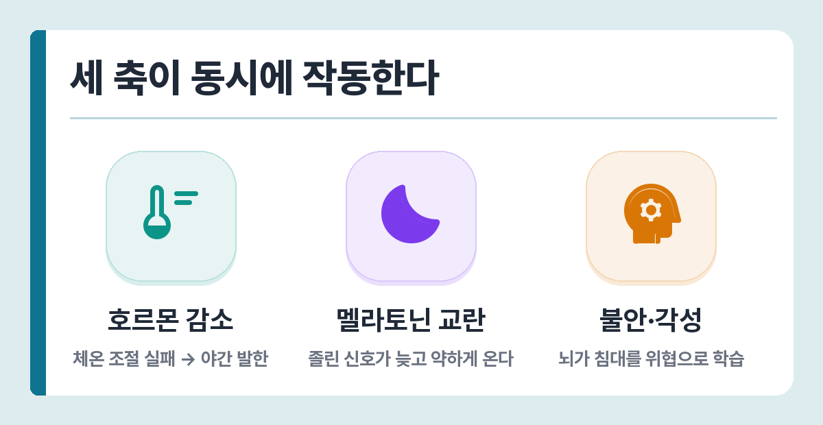 갱년기 수면장애 원인 세 가지 — 호르몬 감소, 멜라토닌 교란, 심리적 각성