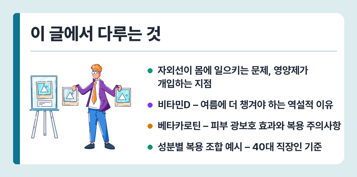 여름 자외선 영양제 비교 – 비타민D·베타카로틴·항산화 복용법 정리 이 글에서 다루는 것