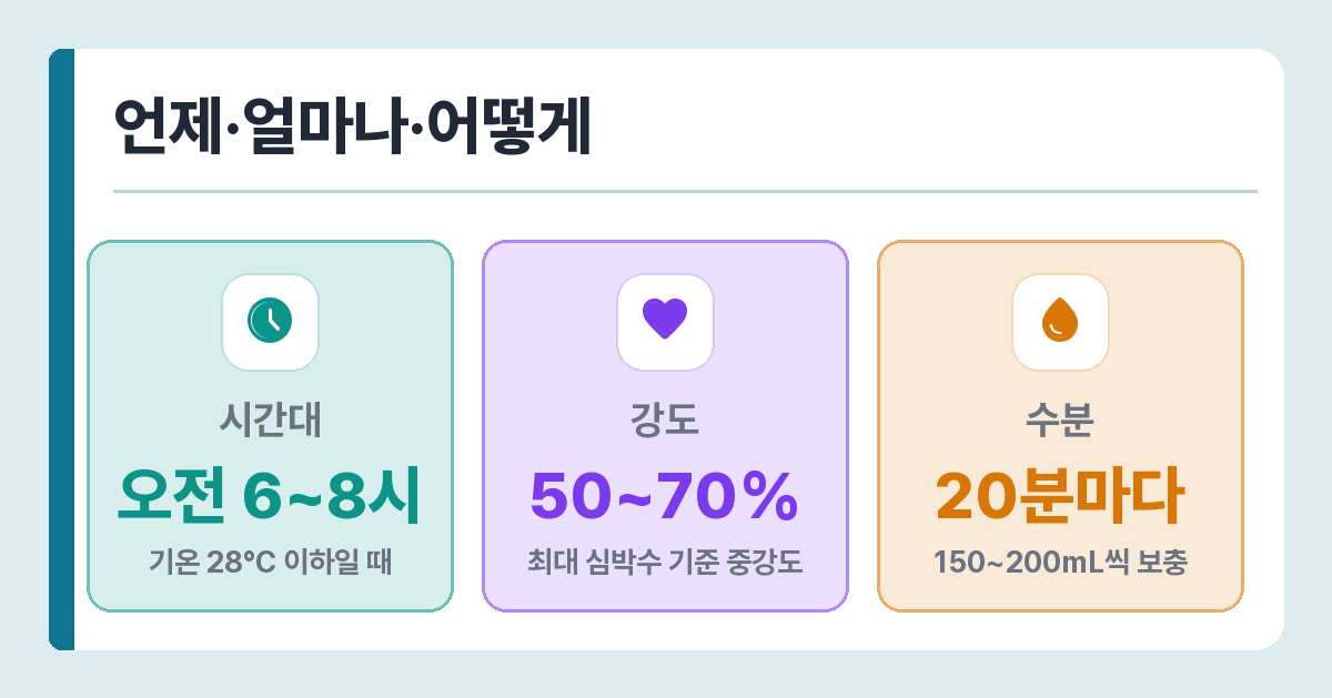 여름 운동 기준 — 오전 6~8시, 중강도 50~70%, 운동 중 20분마다 수분 보충