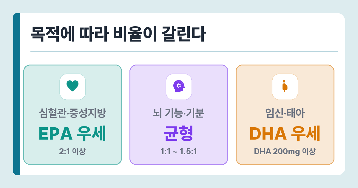 목적별 EPA와 DHA 비율 — 심혈관은 EPA 우세, 뇌 기능은 균형, 임신은 DHA 우세